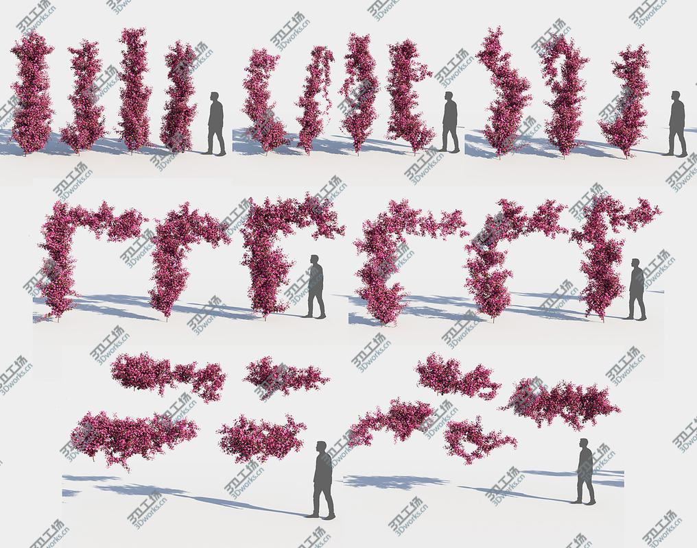 images/goods_img/202104092/3D Bougainvillea Collection (-GrowFX) model/2.jpg